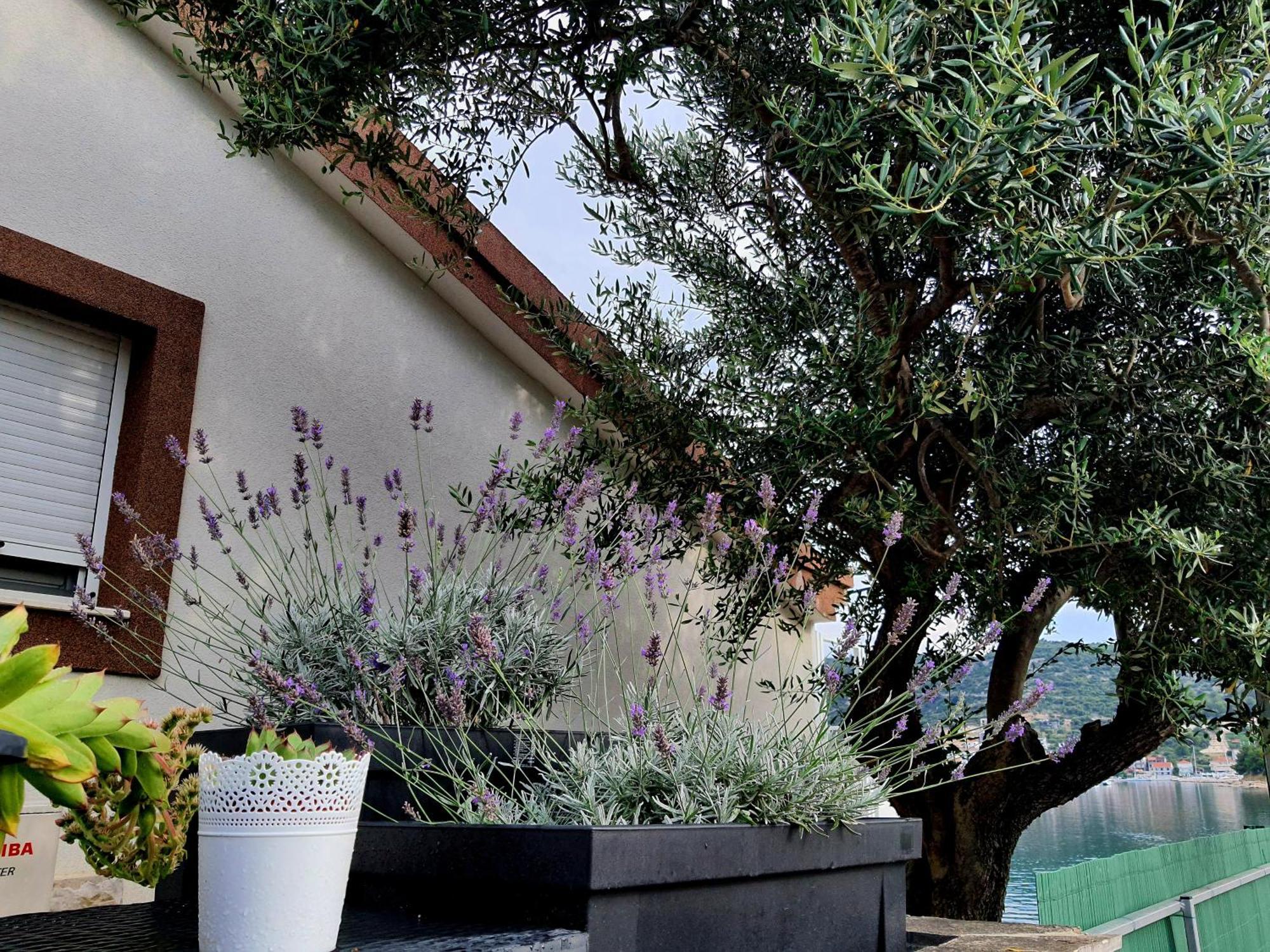 Villa Sunshine Baum مارينا المظهر الخارجي الصورة