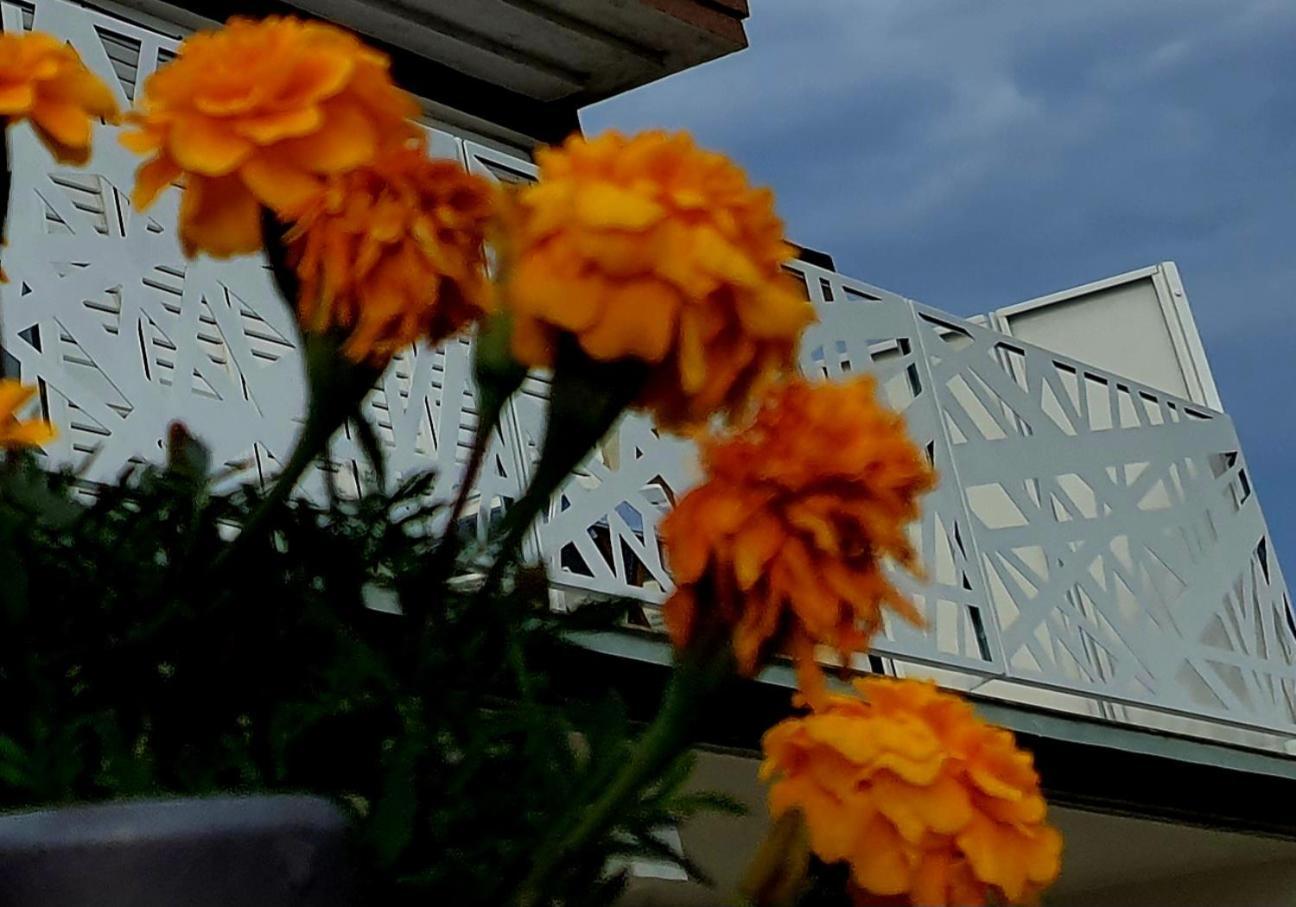 Villa Sunshine Baum مارينا المظهر الخارجي الصورة